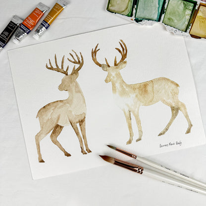 Aquarelle originale - Duo de chevreuils