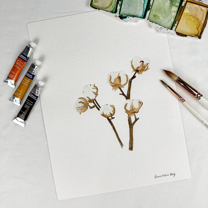 Aquarelle originale - Fleurs de coton