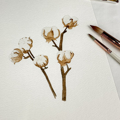 Aquarelle originale - Fleurs de coton