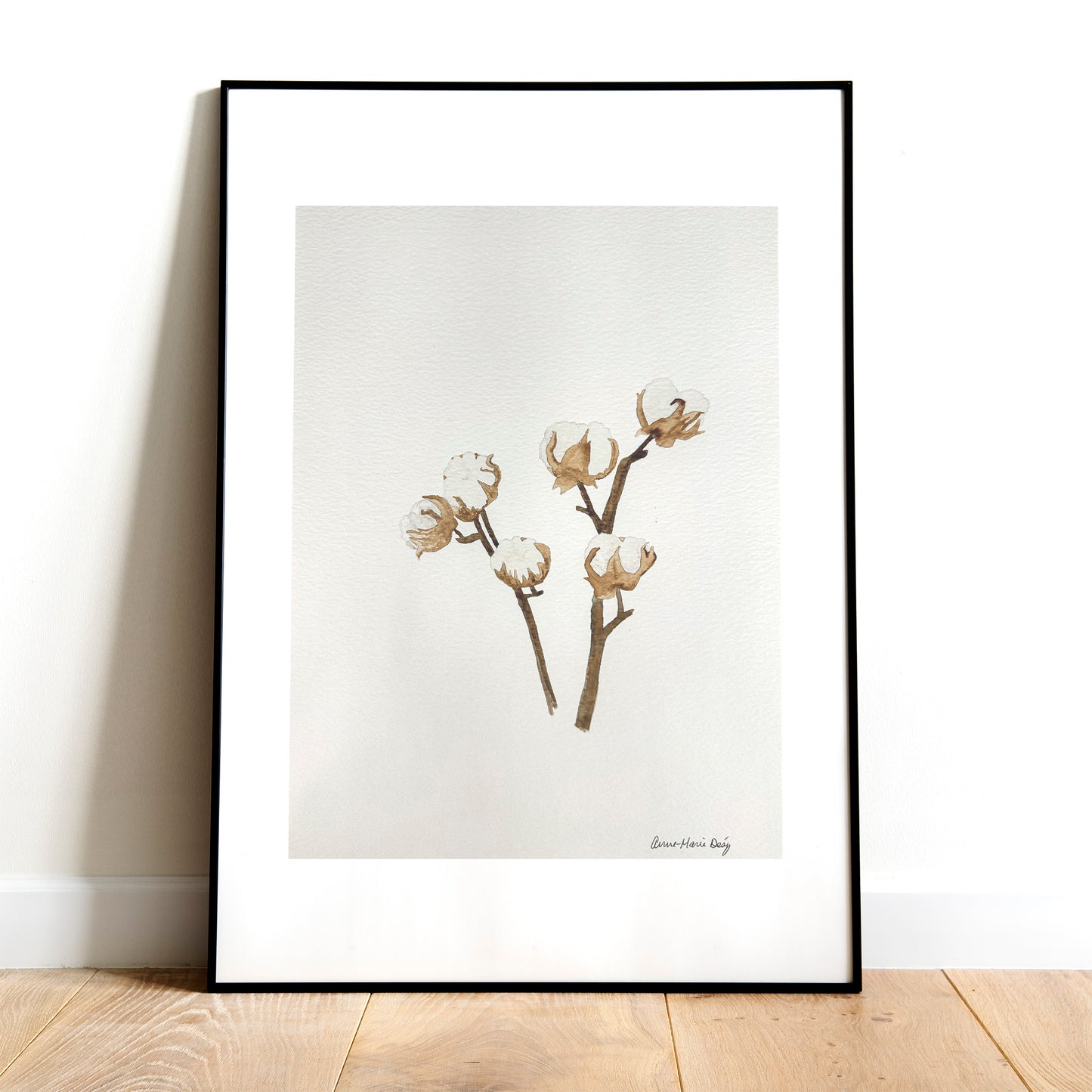 Aquarelle originale - Fleurs de coton