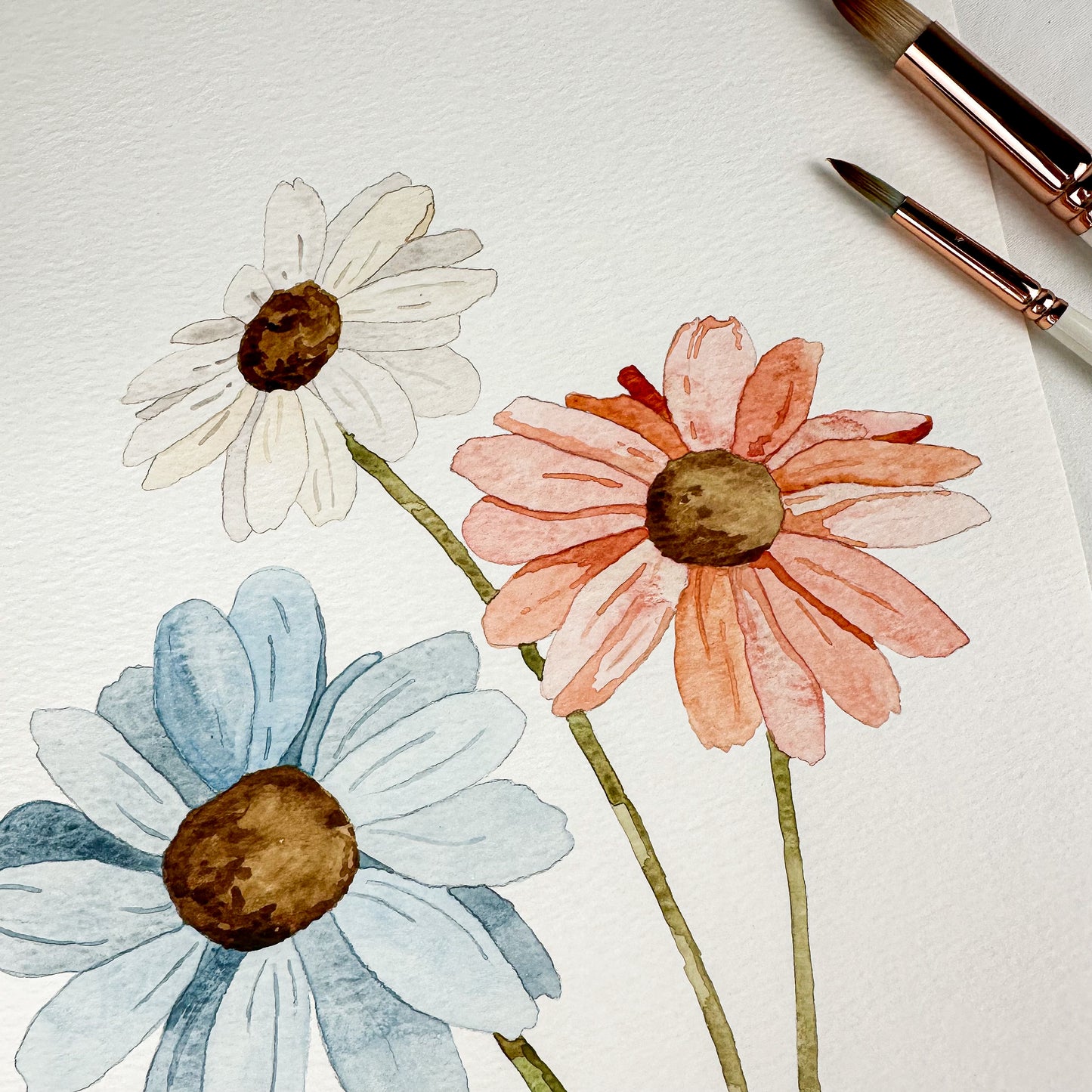 Aquarelle originale - Marguerites